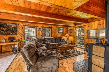 Charming Year-Round Mountain Retreat in Cimarron Colorado - image 19