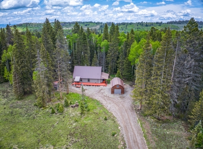 Charming Year-Round Mountain Retreat in Cimarron Colorado - image 6