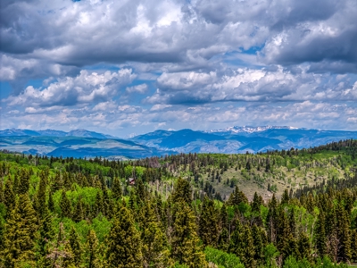 Charming Year-Round Mountain Retreat in Cimarron Colorado - image 11