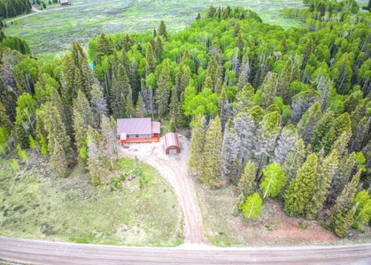 Charming Year-Round Mountain Retreat in Cimarron Colorado - image 7