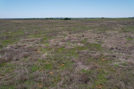 Custer County Oklahoma Acreage for Sale - image 5