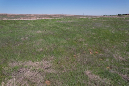Custer County Oklahoma Acreage for Sale - image 4