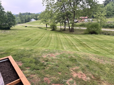 Cottage Home for Sale in Max Meadows VA - image 3