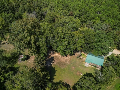 Charming Cabin Retreat near Alton, Missouri - image 14