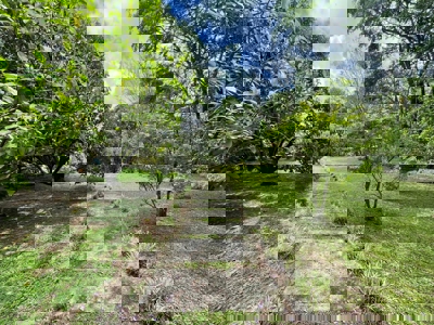 Casa Domingo Diaz | CHARMING RENTAL HOME IN EL VALLE DE ANTON - image 5