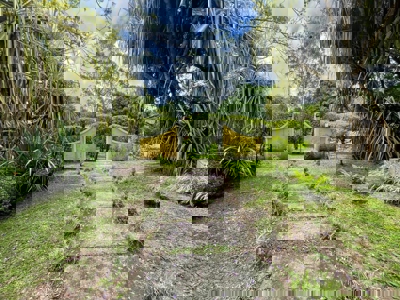 Casa Domingo Diaz | CHARMING RENTAL HOME IN EL VALLE DE ANTON - image 4