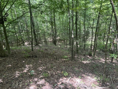 15 Wooded Acres in Tuscaloosa, Alabama - image 28