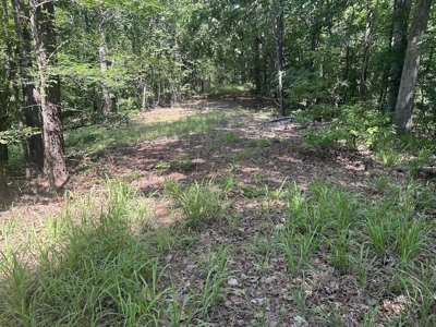 15 Wooded Acres in Tuscaloosa, Alabama - image 2