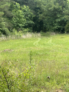 15 Wooded Acres in Tuscaloosa, Alabama - image 34