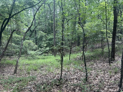 15 Wooded Acres in Tuscaloosa, Alabama - image 15
