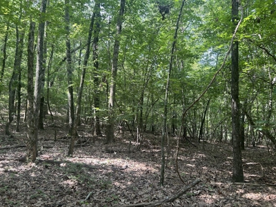 15 Wooded Acres in Tuscaloosa, Alabama - image 8