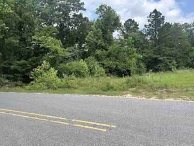 15 Wooded Acres in Tuscaloosa, Alabama - image 35