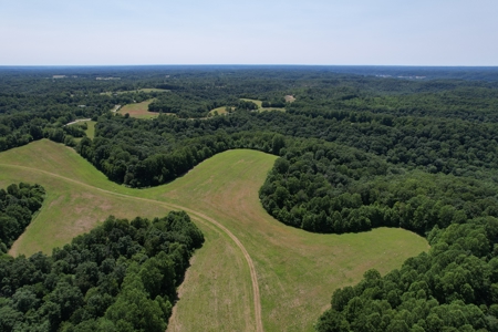 255.67+/- Acres In Tracts-Cropland/Timber-Liberty, Ky. - image 12