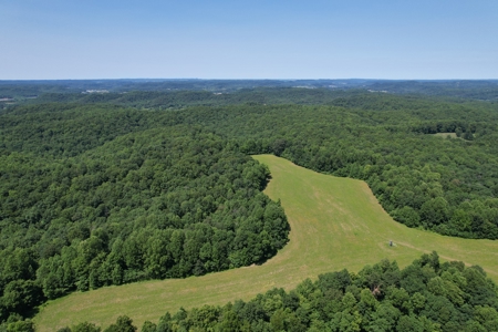 255.67+/- Acres In Tracts-Cropland/Timber-Liberty, Ky. - image 7