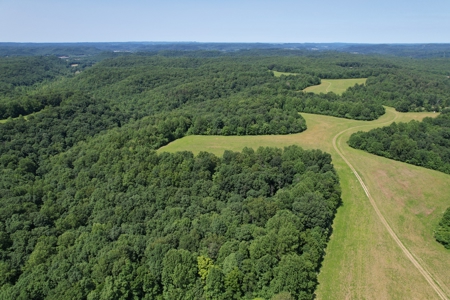 255.67+/- Acres In Tracts-Cropland/Timber-Liberty, Ky. - image 15