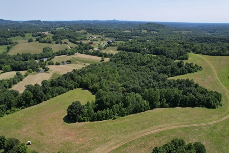255.67+/- Acres In Tracts-Cropland/Timber-Liberty, Ky. - image 17