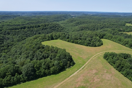 255.67+/- Acres In Tracts-Cropland/Timber-Liberty, Ky. - image 14