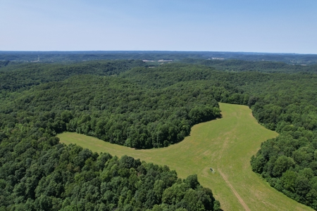 255.67+/- Acres In Tracts-Cropland/Timber-Liberty, Ky. - image 6