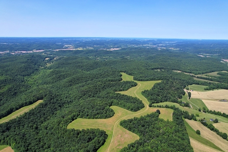 255.67+/- Acres In Tracts-Cropland/Timber-Liberty, Ky. - image 18
