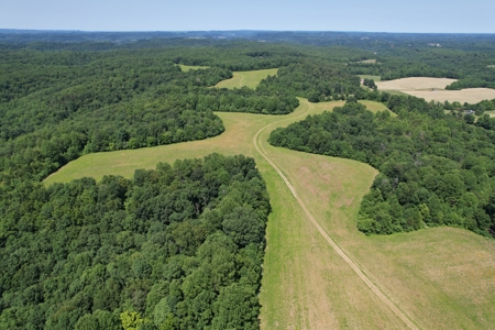 255.67+/- Acres In Tracts-Cropland/Timber-Liberty, Ky. - image 2