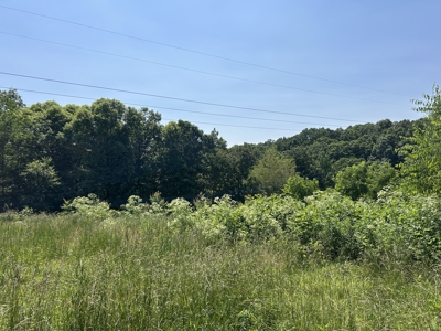 255.67+/- Acres In Tracts-Cropland/Timber-Liberty, Ky. - image 34