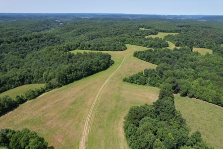 255.67+/- Acres In Tracts-Cropland/Timber-Liberty, Ky. - image 1