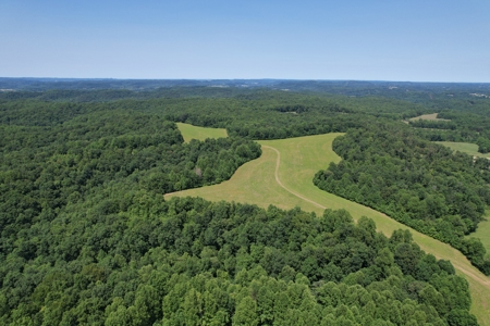 255.67+/- Acres In Tracts-Cropland/Timber-Liberty, Ky. - image 4