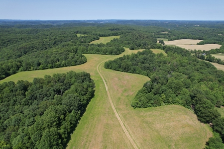 255.67+/- Acres In Tracts-Cropland/Timber-Liberty, Ky. - image 16