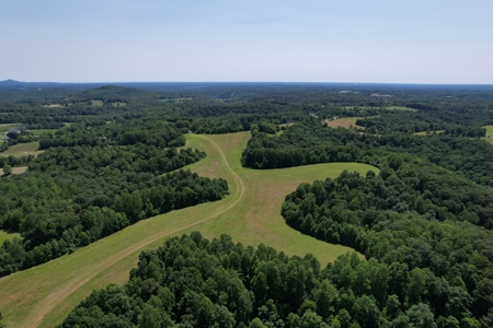 255.67+/- Acres In Tracts-Cropland/Timber-Liberty, Ky. - image 5