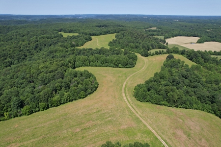255.67+/- Acres In Tracts-Cropland/Timber-Liberty, Ky. - image 3