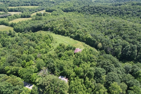 255.67+/- Acres In Tracts-Cropland/Timber-Liberty, Ky. - image 19