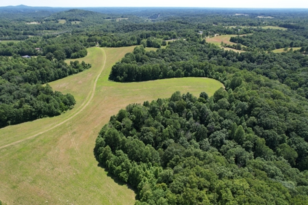 255.67+/- Acres In Tracts-Cropland/Timber-Liberty, Ky. - image 13