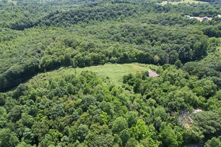 255.67+/- Acres In Tracts-Cropland/Timber-Liberty, Ky. - image 20