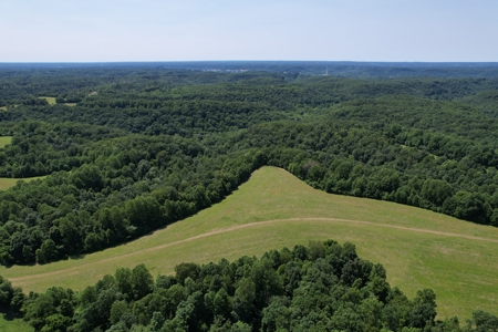 255.67+/- Acres In Tracts-Cropland/Timber-Liberty, Ky. - image 11