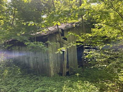 255.67+/- Acres In Tracts-Cropland/Timber-Liberty, Ky. - image 31