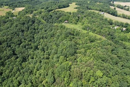 255.67+/- Acres In Tracts-Cropland/Timber-Liberty, Ky. - image 21