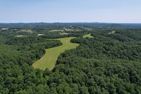 255.67+/- Acres In Tracts-Cropland/Timber-Liberty, Ky. - image 8