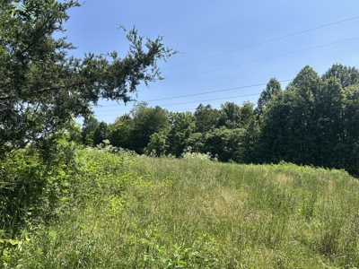 255.67+/- Acres In Tracts-Cropland/Timber-Liberty, Ky. - image 33