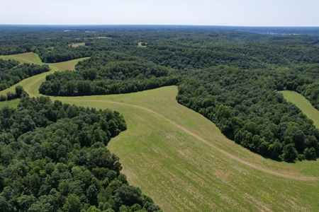 255.67+/- Acres In Tracts-Cropland/Timber-Liberty, Ky. - image 10