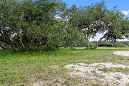Commercial Opportunity – Two Properties Available - image 19