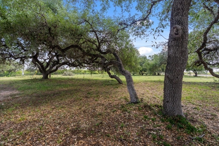 Commercial Opportunity – Two Properties Available - image 18