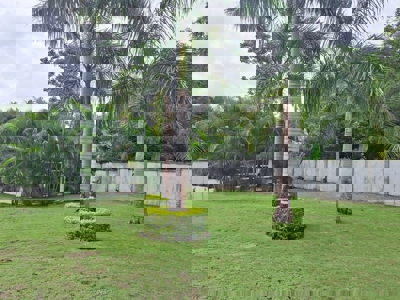 Villa Iguana Punta Barco - Fully Furnished 3 Bedroom Beach Home - image 36