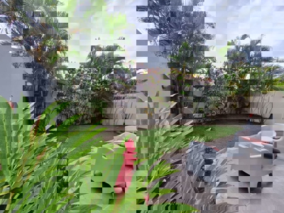 Villa Iguana Punta Barco - Fully Furnished 3 Bedroom Beach Home - image 3