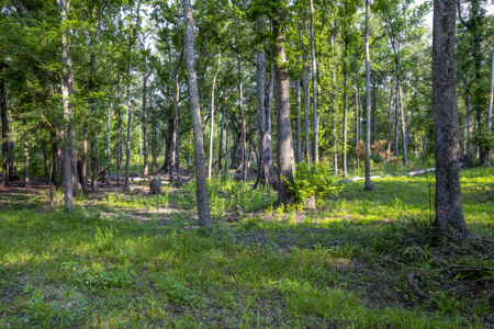1 Acre Camping Lot for Sale in O'Brien, Florida - image 36
