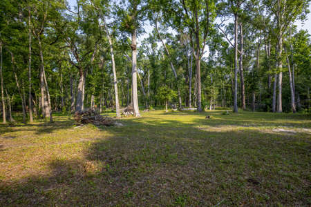 1 Acre Camping Lot for Sale in O'Brien, Florida - image 30