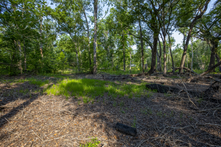 1 Acre Camping Lot for Sale in O'Brien, Florida - image 10