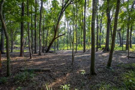 1 Acre Camping Lot for Sale in O'Brien, Florida - image 8