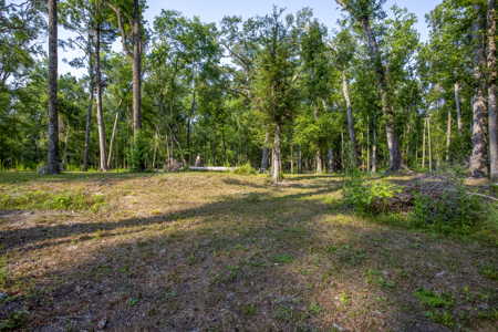 1 Acre Camping Lot for Sale in O'Brien, Florida - image 37
