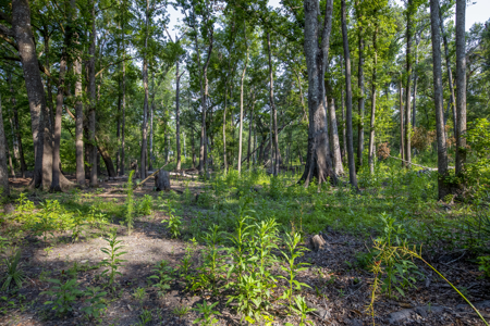 1 Acre Camping Lot for Sale in O'Brien, Florida - image 9