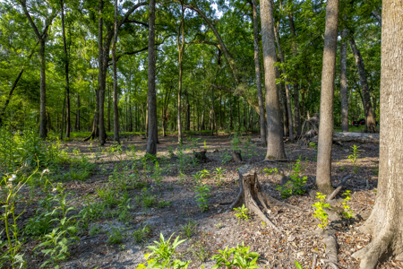 1 Acre Camping Lot for Sale in O'Brien, Florida - image 25